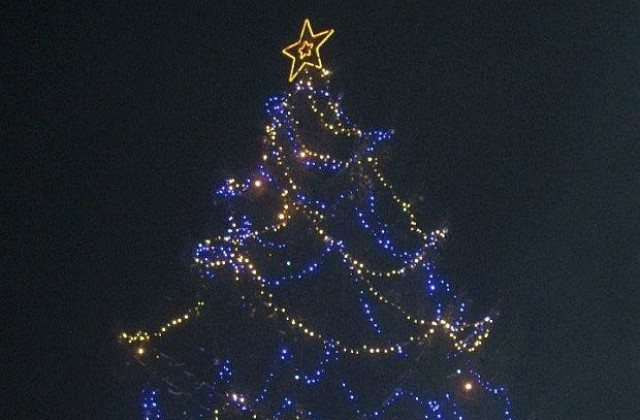 Грейва коледната елха в Гоце Делчев