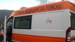 Фиат се заби в дърво