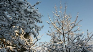 Слънчево но студено