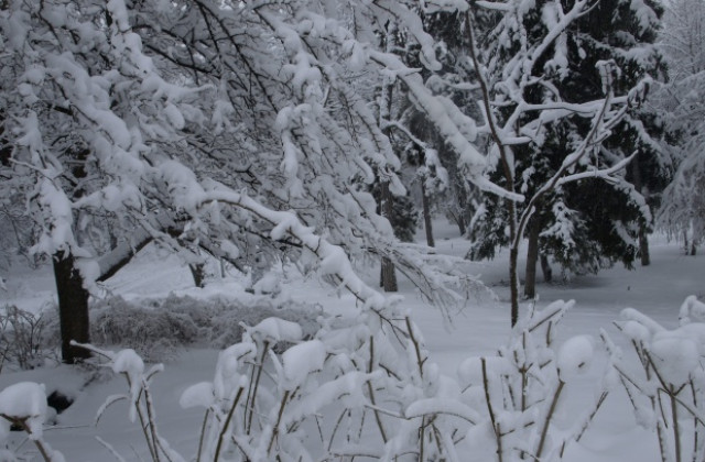 Кметове и директори дават зимни дежурства в Смолян
