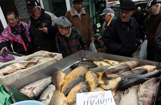 Варненски инспектори на лов за негодна риба преди Никулден