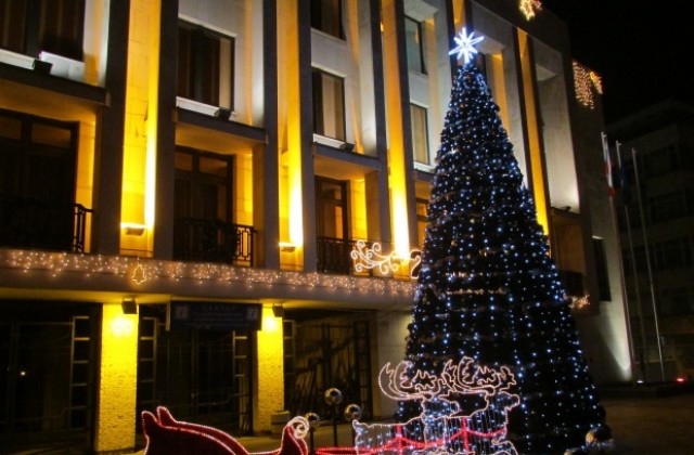 Коледната елха в Г. Оряховица грейва празнично