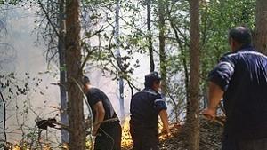 Пропуски в законодателството пречат на желаещите да се включат в
