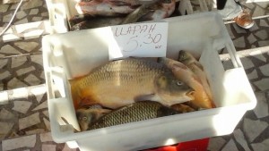 Без промяна в цената на шарана преди Никулден