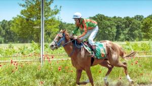 Боровански кон със злато в Германия