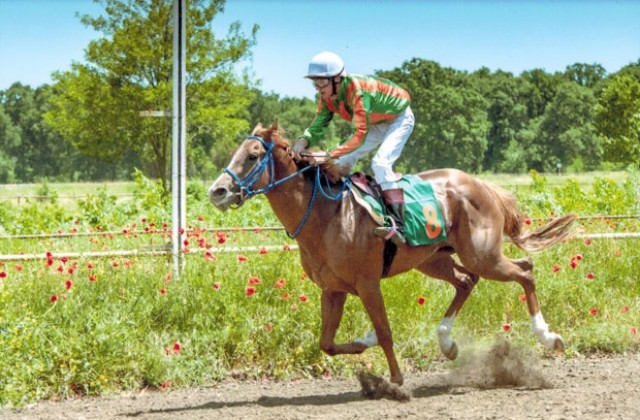 Боровански кон със злато в Германия
