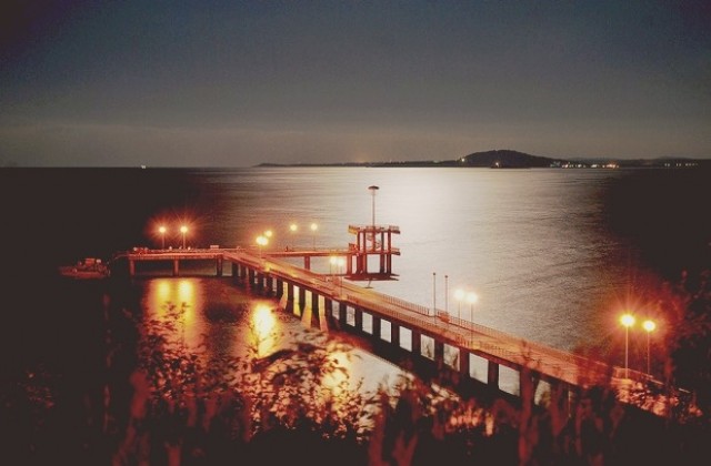 Цялата програма за Никулден, изберете си