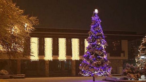 Елхата в Банско грейва тази вечер