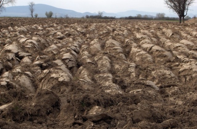 Расте интересът към земеделската земя в Сливенско