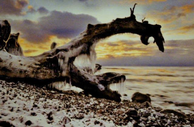 Четвърти международен фото салон „Дивото 2013”