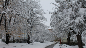 Раздават безплатни карти за библиотека за студентския празник