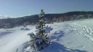 Силен вятър в Габровска област