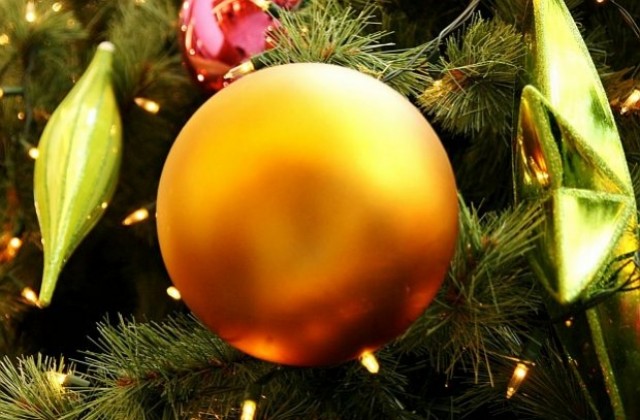 Най-голямото коледно дърво в света грейна в Италия