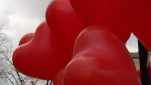 V благотворителен бал подпомага ученици и студенти