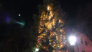 Коледната елха грейна в Елена