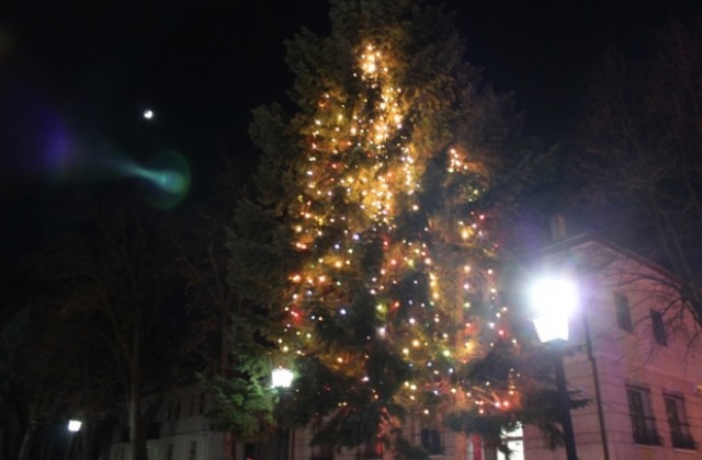 Коледната елха грейна в Елена