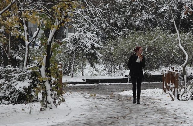 Жълт код в 19 области заради силен вятър