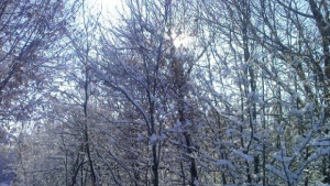 Виелици и силен вятър днес