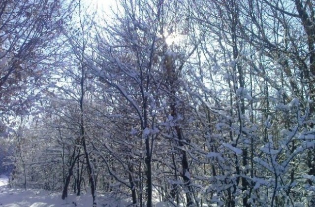 Виелици и силен вятър днес