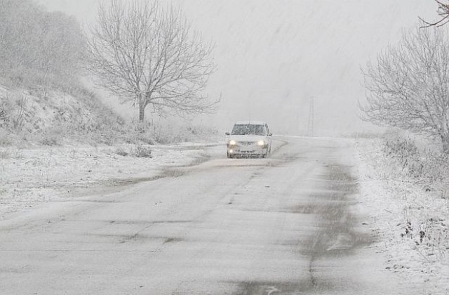 До 72 км/час достигна скоростта на вятъра в Русе