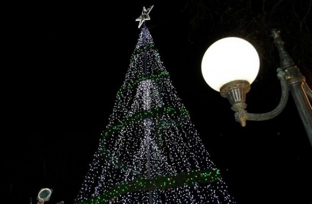 Поморие запали коледната елха