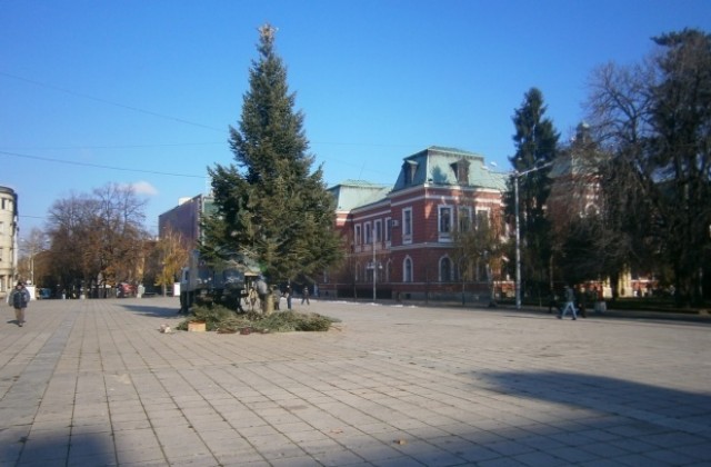 Осветлението на елхата в Кюстендил грейва днес