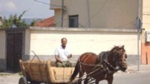 Актове за двама каруцари с крадена царевица