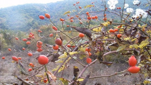 Облачността се увеличава