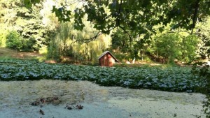 Дарик отличи общините в кампанията Зелен град