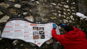 Какво е общото между прилепите и граф Дракула обяснява фондация