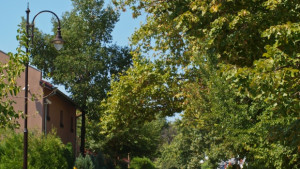 Съдът пусна коли в Морската градина и през Акациите