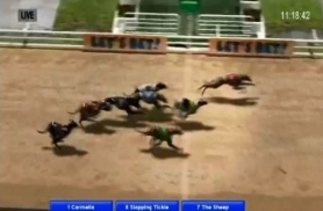 Близо 17 000 лв от футбол в София и почти 1000 лв от гонки в Търговище