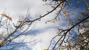 Слънчево