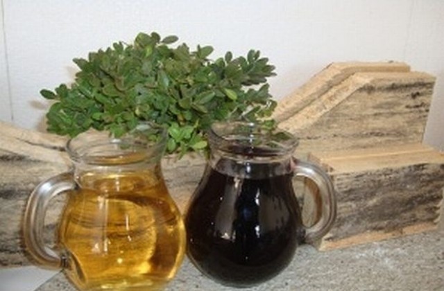 Избират най-доброто младо вино в Сандански