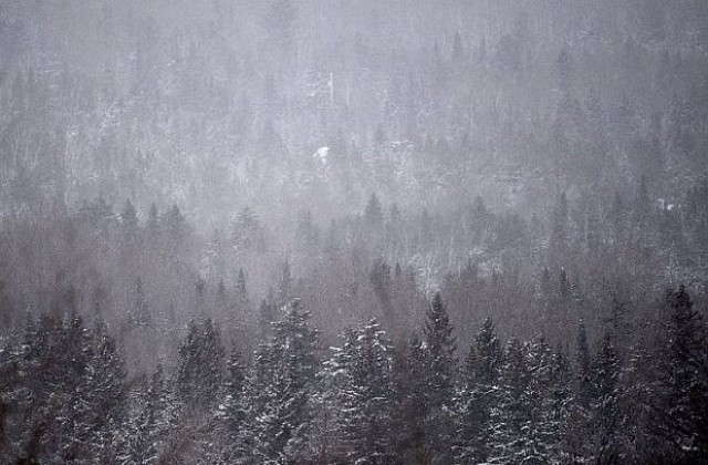 Снежен ураган връхлетя източната половина от Канада