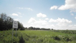 Кметът на Плевен Възможни са нови вълнения в село Бохот