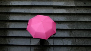 Без сняг до Нова година