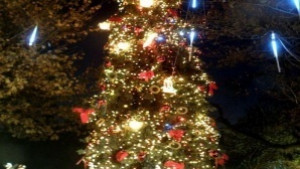 Ученици украсят коледните елхи в русенски храмове