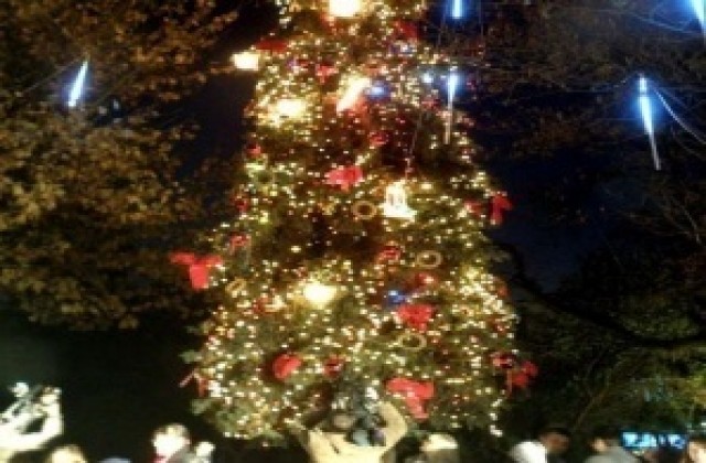 Ученици украсят коледните елхи в русенски храмове