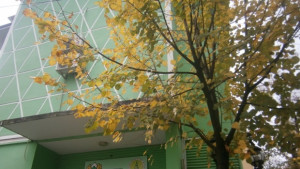 РДГКюстендил консултира собствениците на гори за ползването стопанисването и контрола