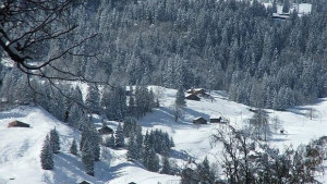 Настъпи астрономическата зима