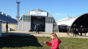 Кучкарникът за първи път отвори врати обитателите с коледни подаръци