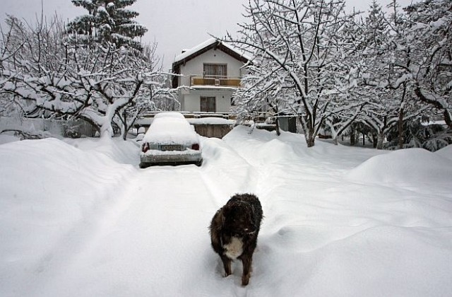 Все повече западноевропейци са съблазнени от България и Румъния
