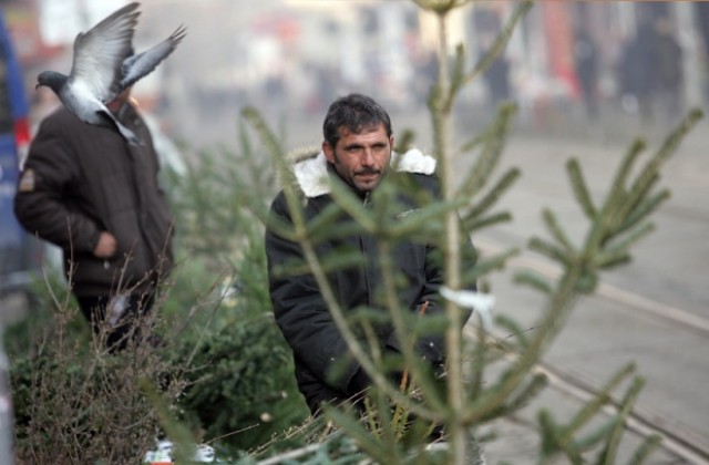 „Коледа си ти!” ще зарадва стотици многодетни български семейства за Рождество