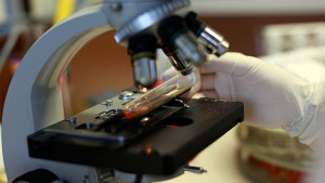 Учен фалшифицирал данни за ваксина срещу СПИН