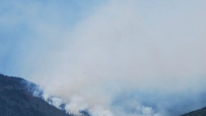 Пожарът край Бистрица е потушен