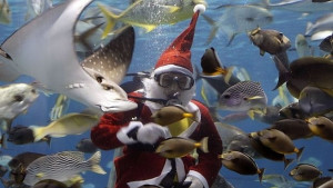 Екипажите на пет български кораба ще посрещнат едновременно 2014та година