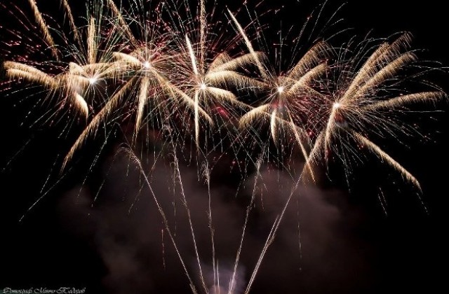 Годината на Синия дървен кон