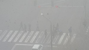 Мъгла в района на Нова Загора видимост до 50 метра