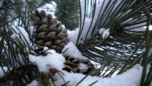 На 5 януари отбелязваме зимния Кръстовден